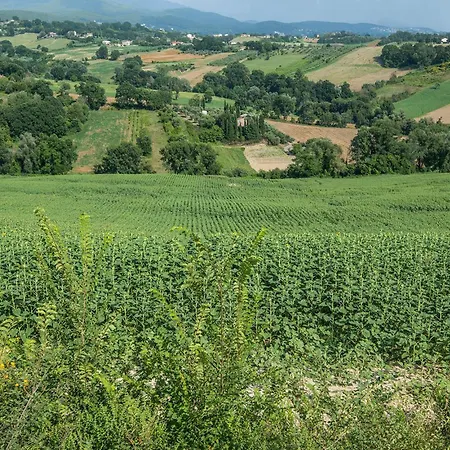 Lovely In With Kitchen Сasa de vacaciones *